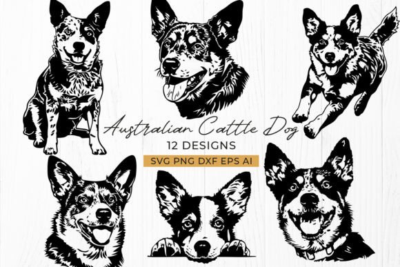 Australian Cattle Dog Blue Heeler SVG: A Stitch Test Review