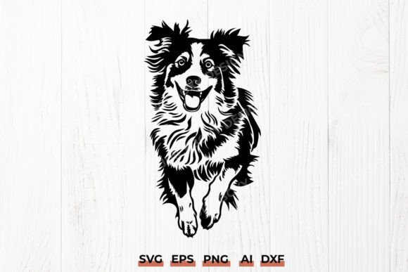 Australian Shepherd Dog Pet Portrait Svg Review
