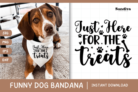 Funny Dog Bandana Quotes SVG 11 Review