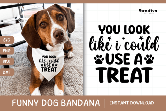 Funny Dog Bandana Quotes SVG 17: A Hands-On Designer Review