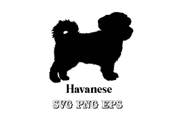 Havanese Dog Silhouette Breed SVG